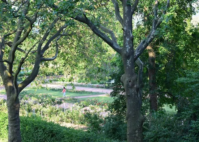 Schoene In - Neustadt Apartament